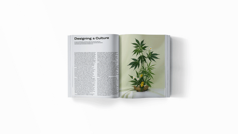 High on Design: The New Cannabis Culture